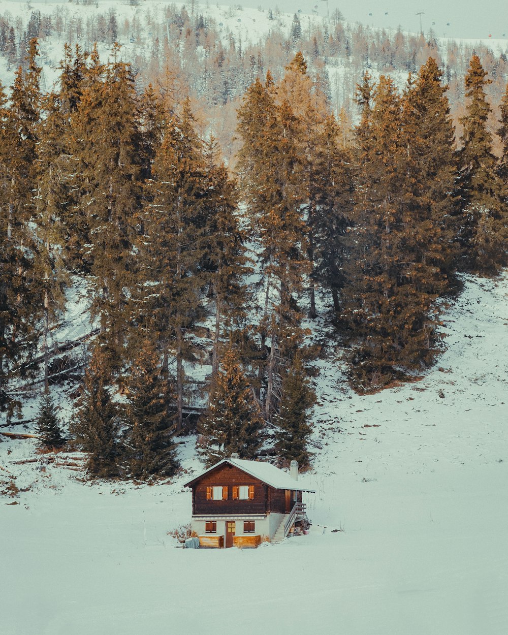 a cabin in the middle of a snowy forest