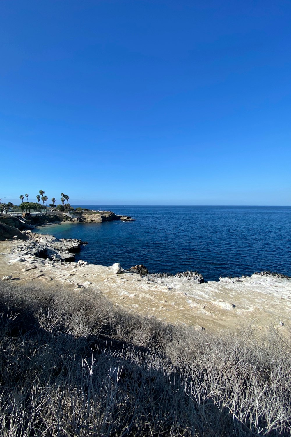 a body of water sitting next to a sandy beach