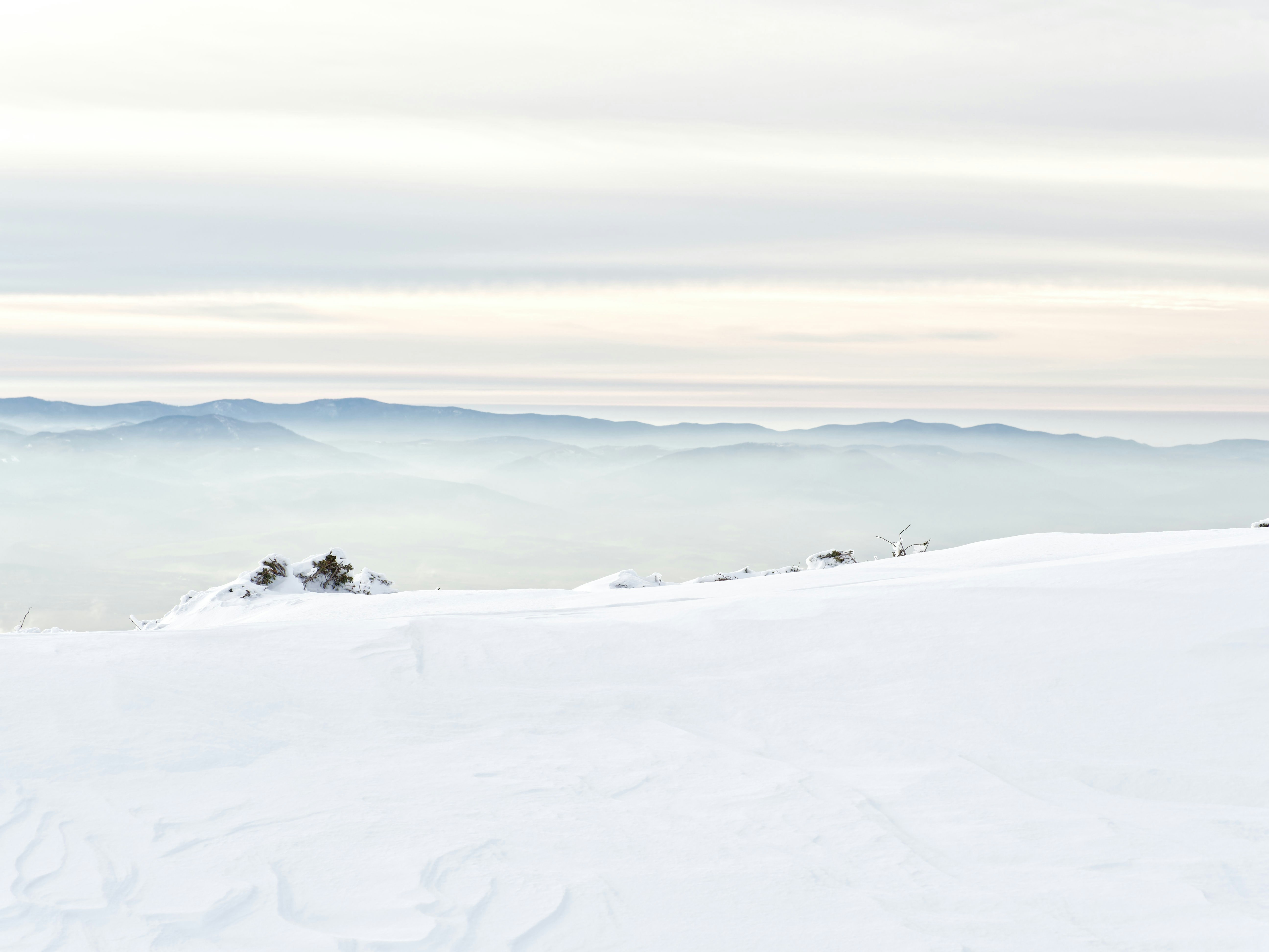 Photo by illes_cristi