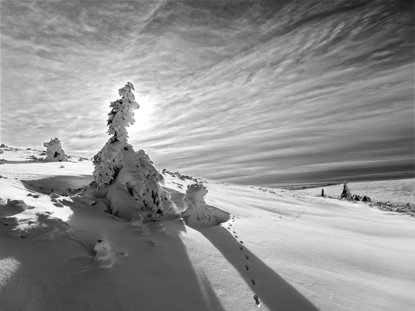 a black and white photo of a snow covered mountain