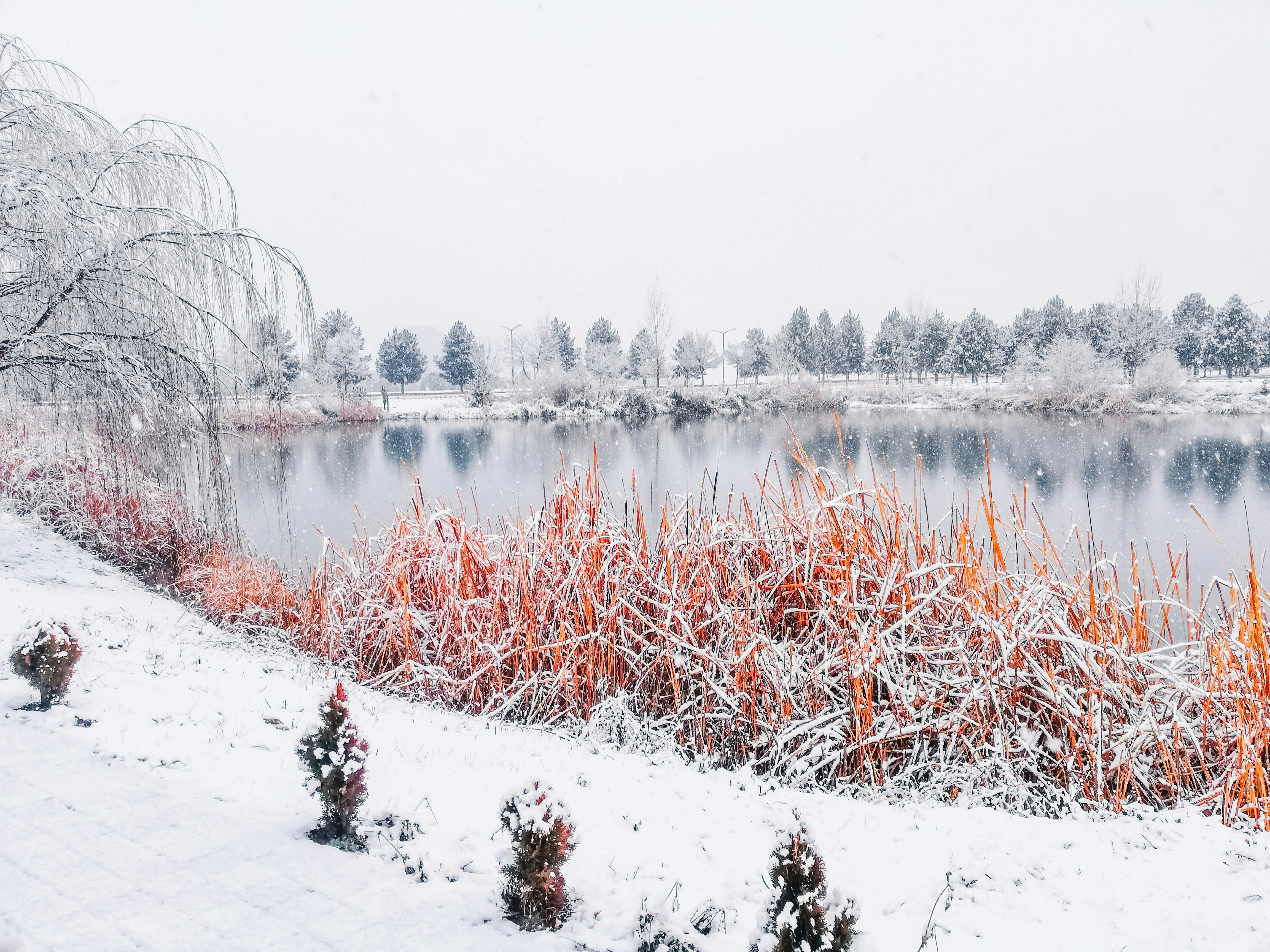 Eğitim materyalleri