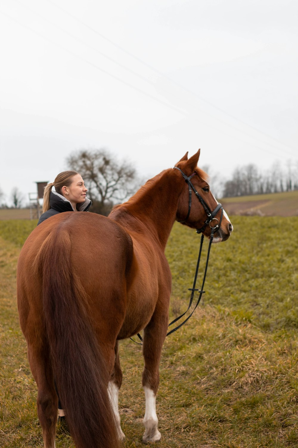 a woman riding on the back of a brown horse