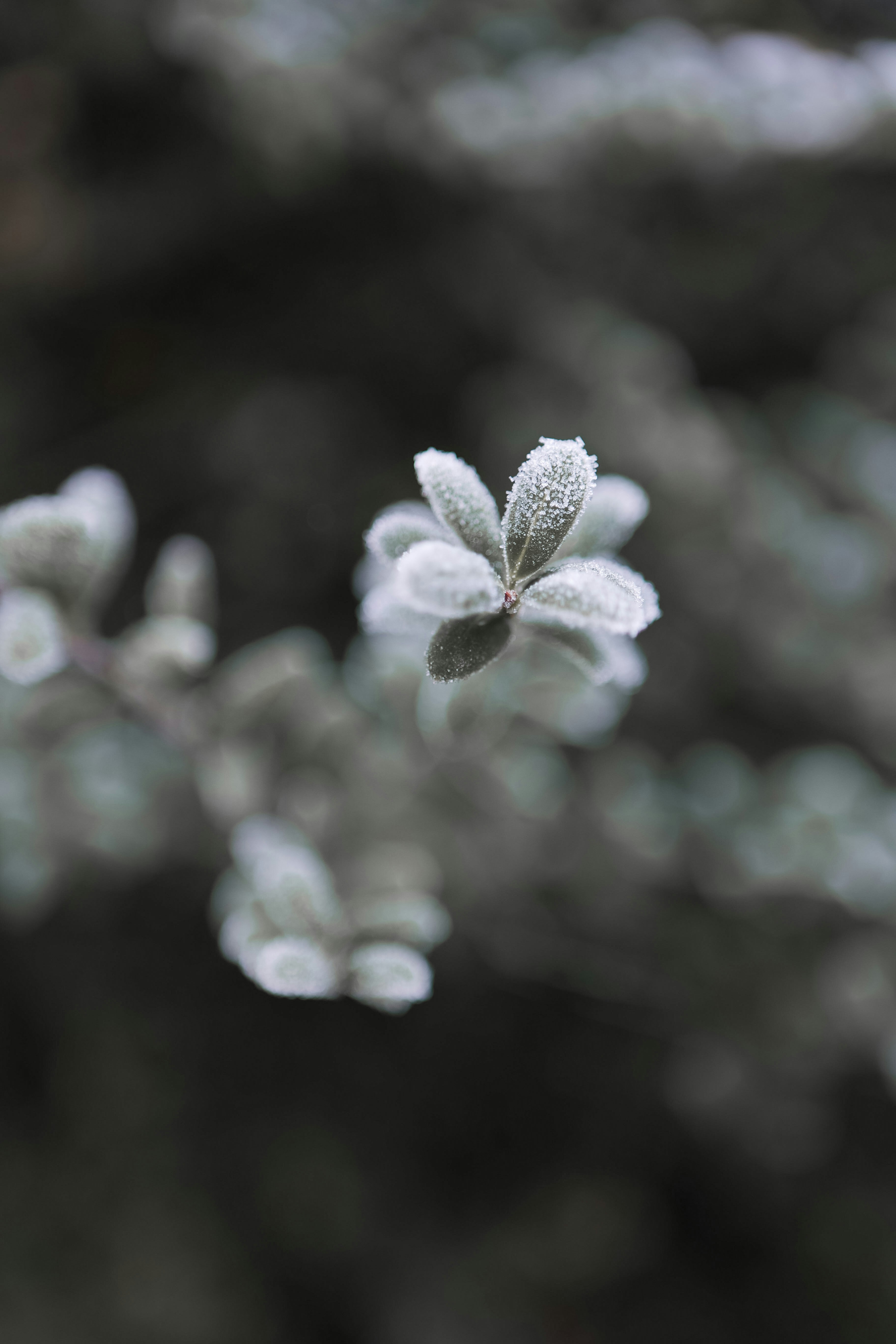 Photo by androtata