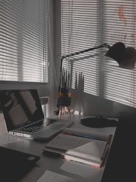 A serene workspace with a laptop, a notebook, and a small plant basking in natural light.