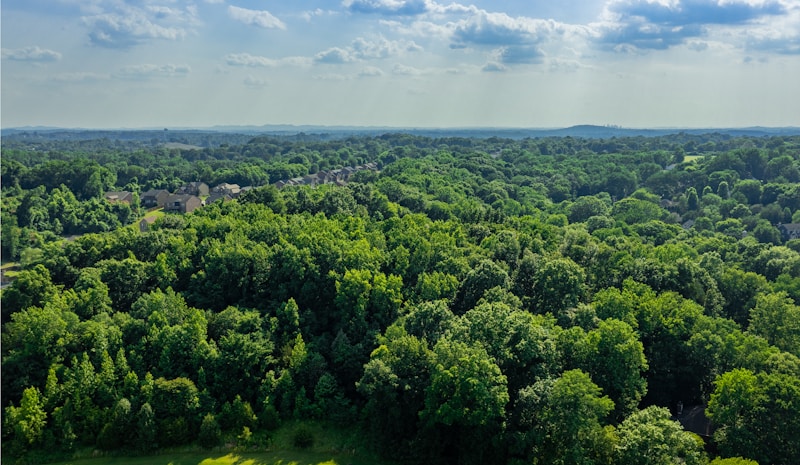 Forest Watch: Real-Time Deforestation Monitoring Dashboard