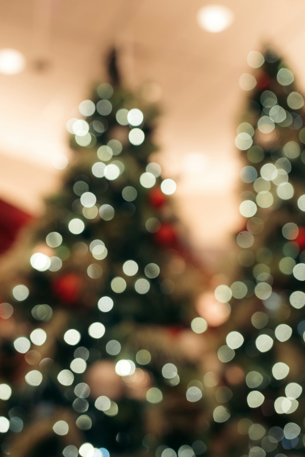a blurry photo of a christmas tree