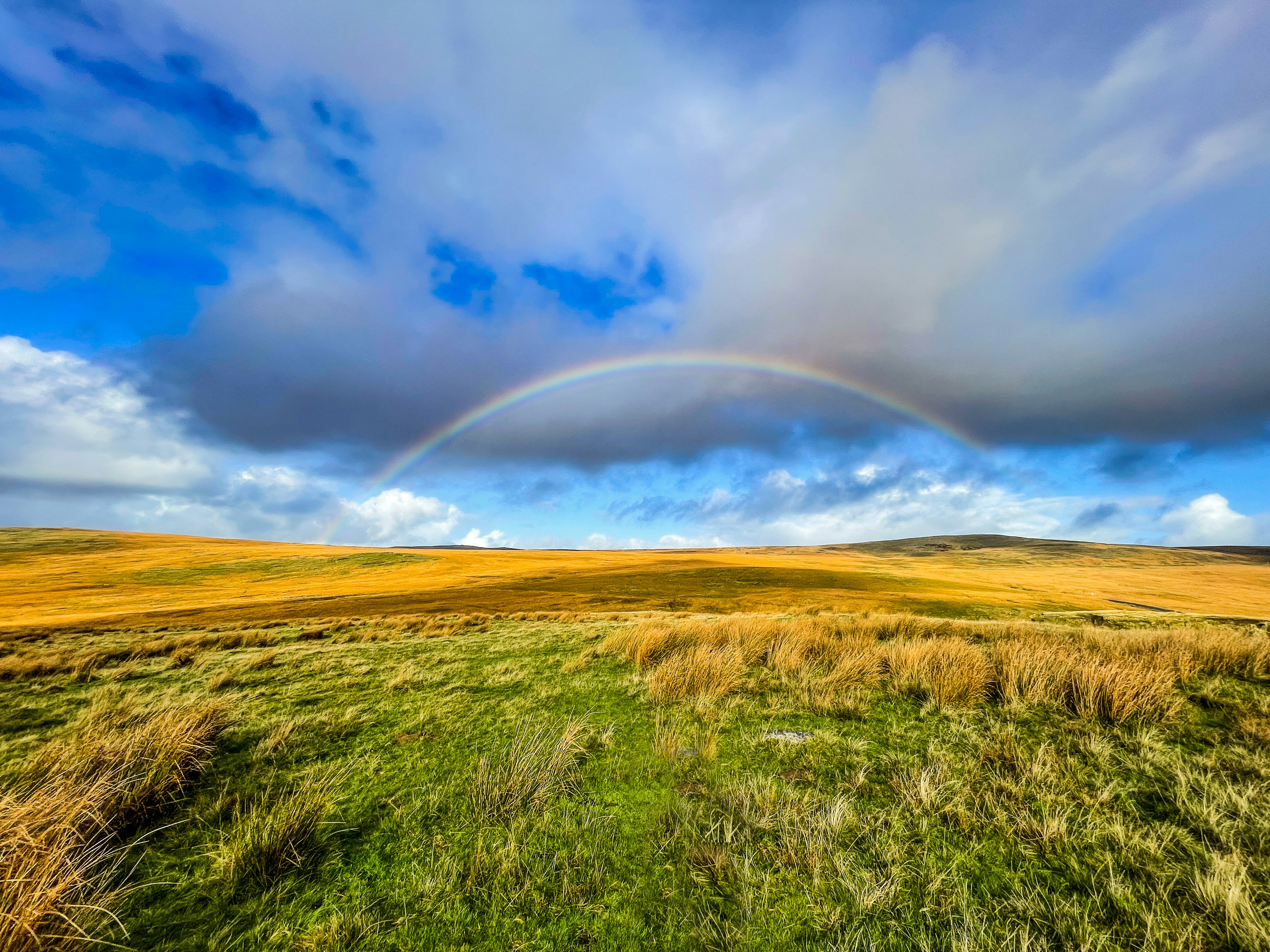 Photo by primitiveneeds