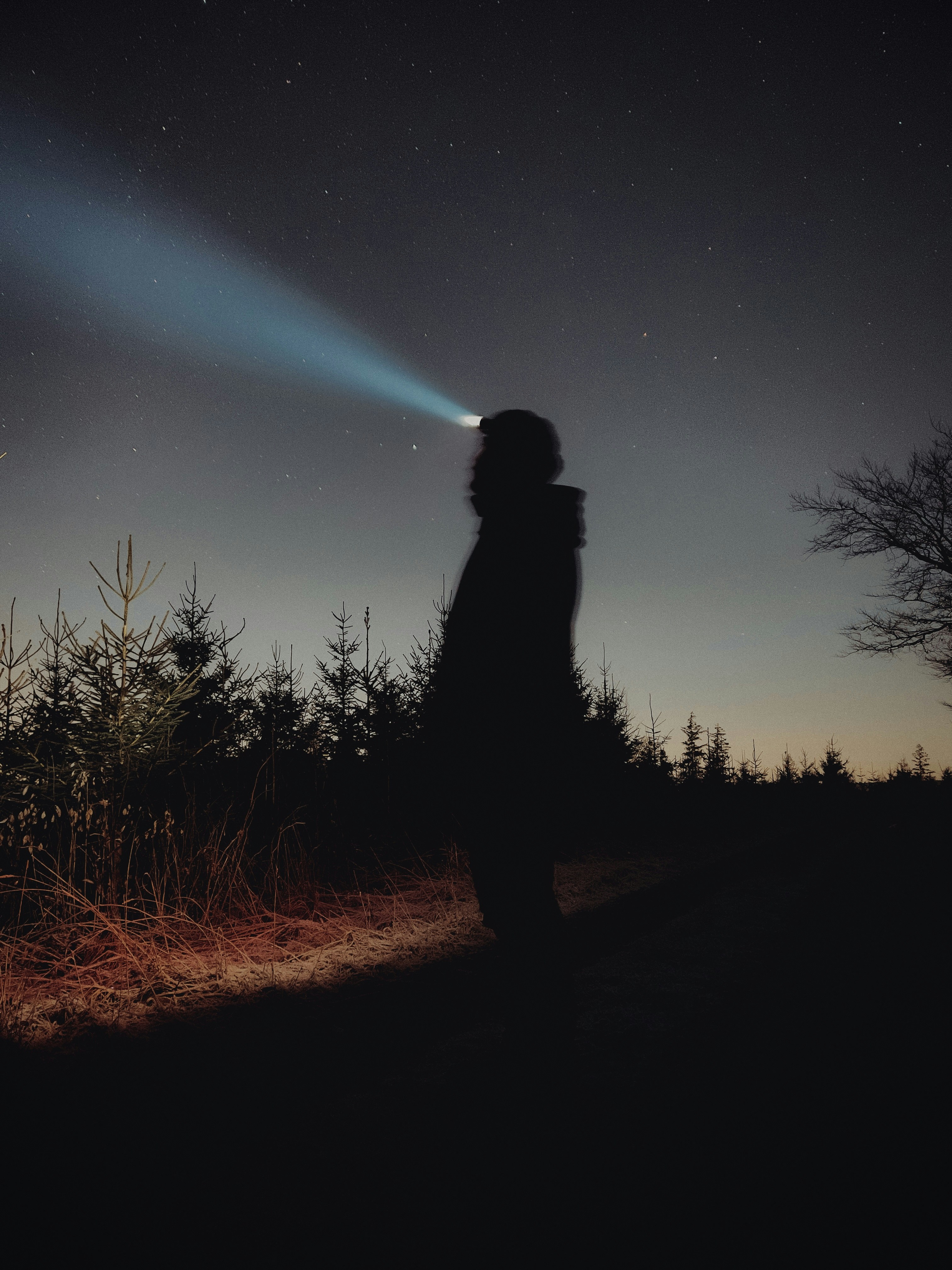 Photo by cloudett