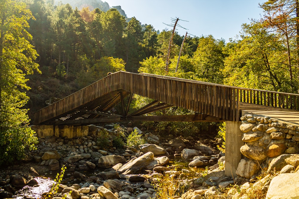 a wooden bridge over a stream in a forest