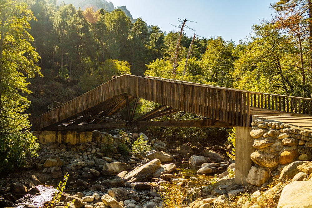 uma ponte de madeira sobre um riacho em uma floresta