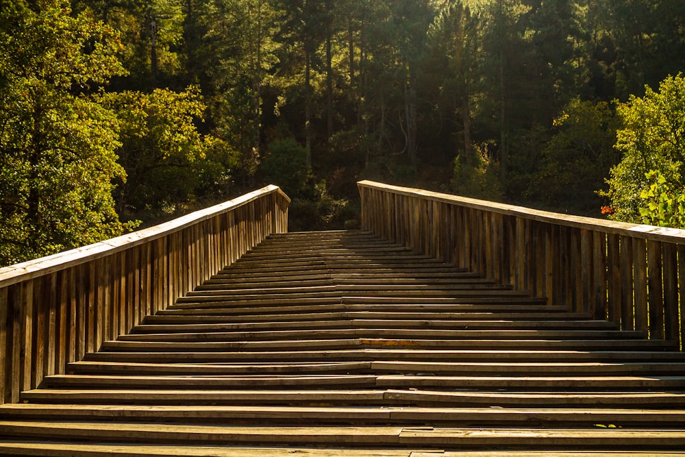 a set of stairs leading to a forest