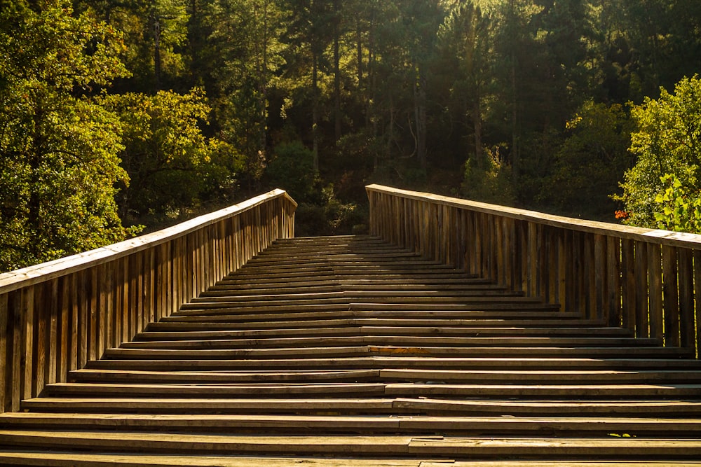 un escalier menant à une forêt