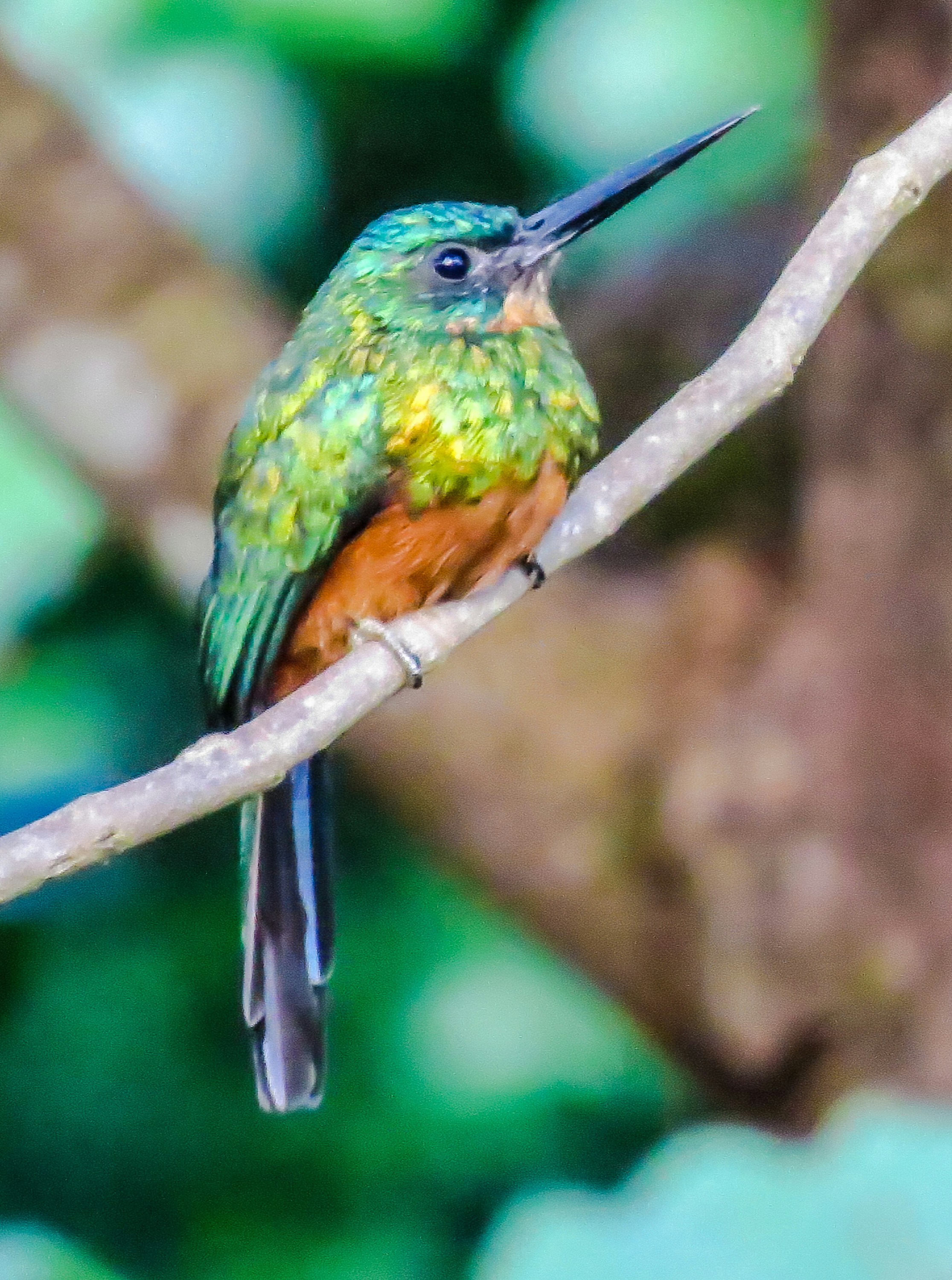 Photo by dienyportinanni