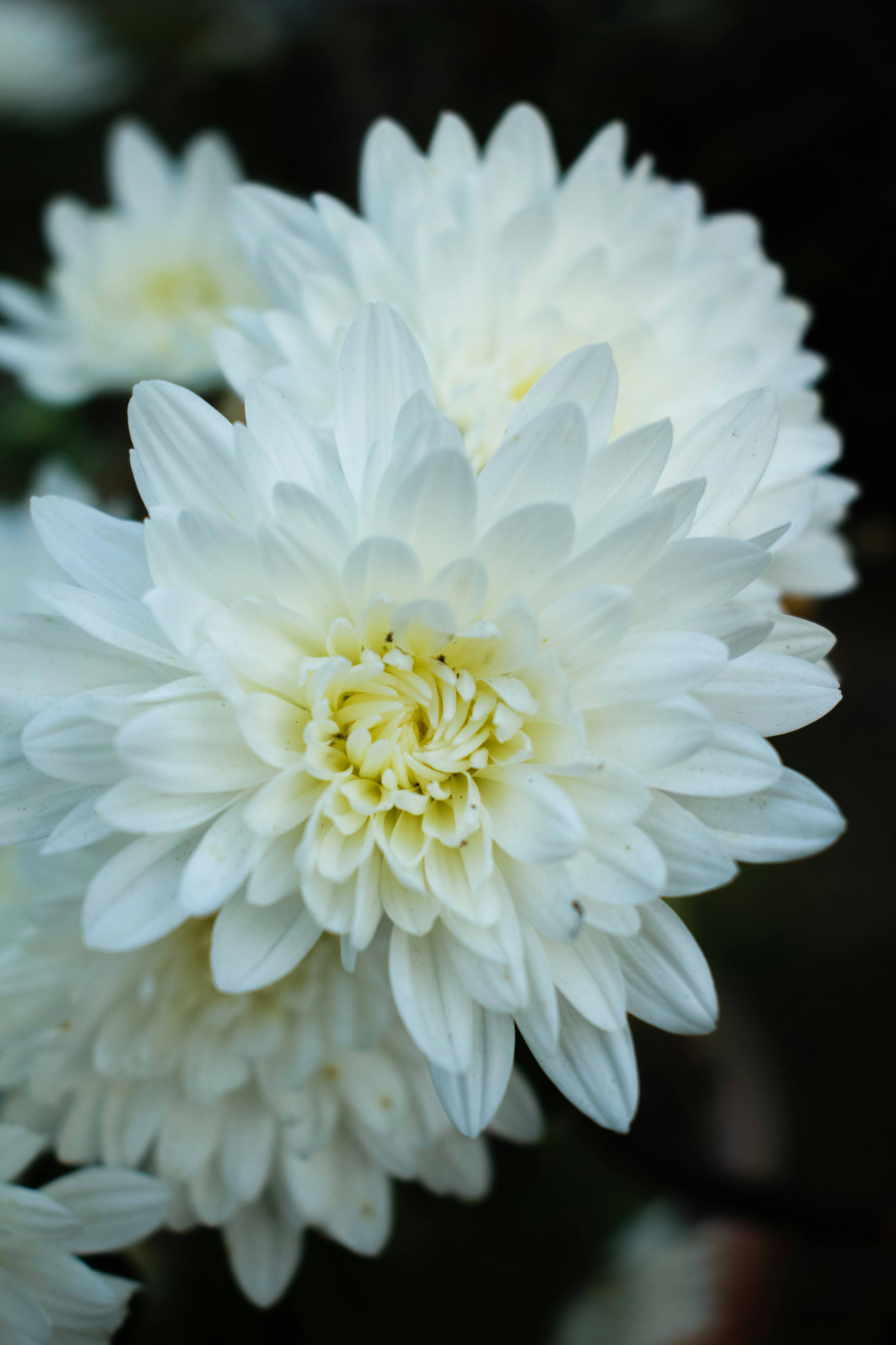 Photo by longlivehaas