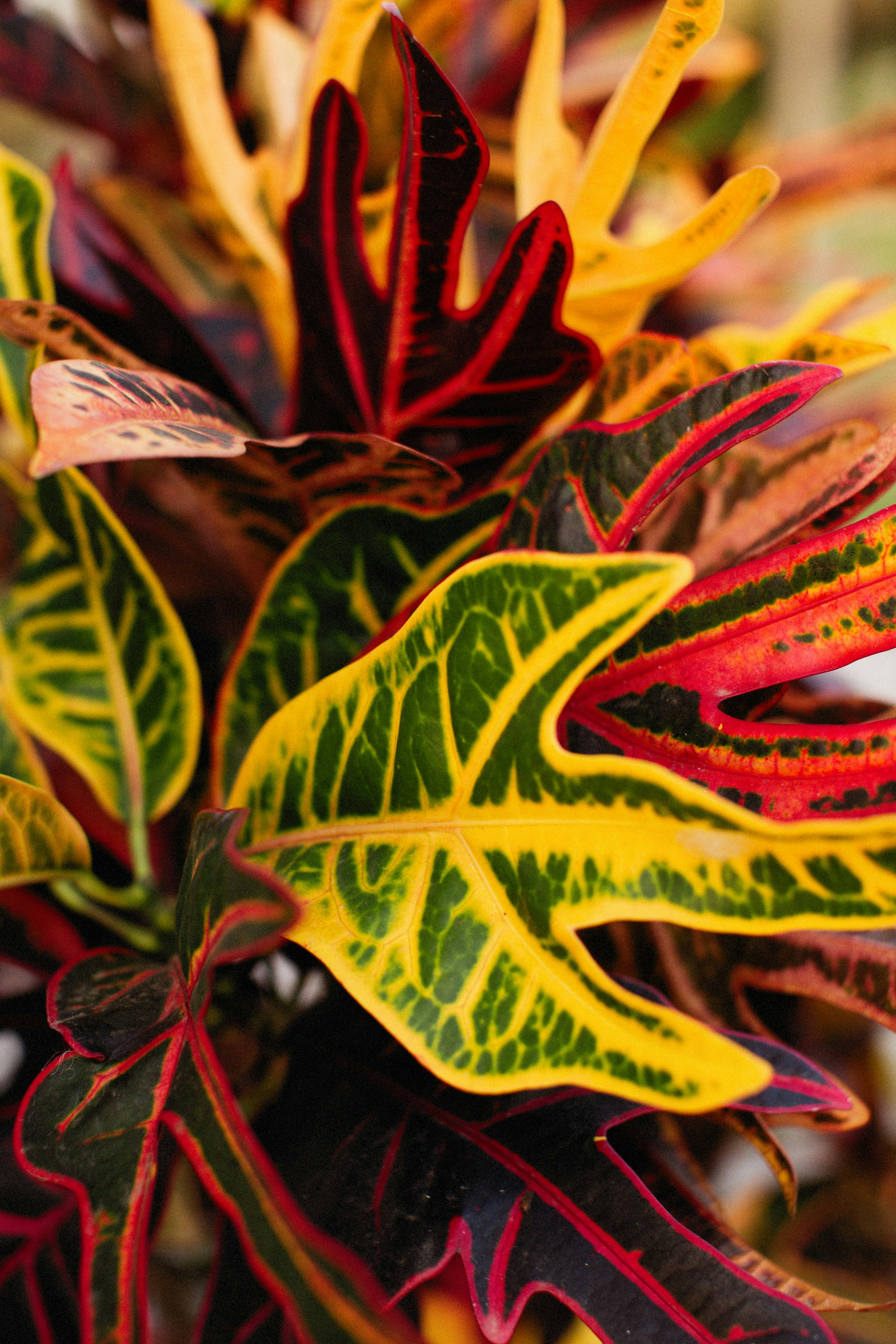 Photo by alexeydemidov