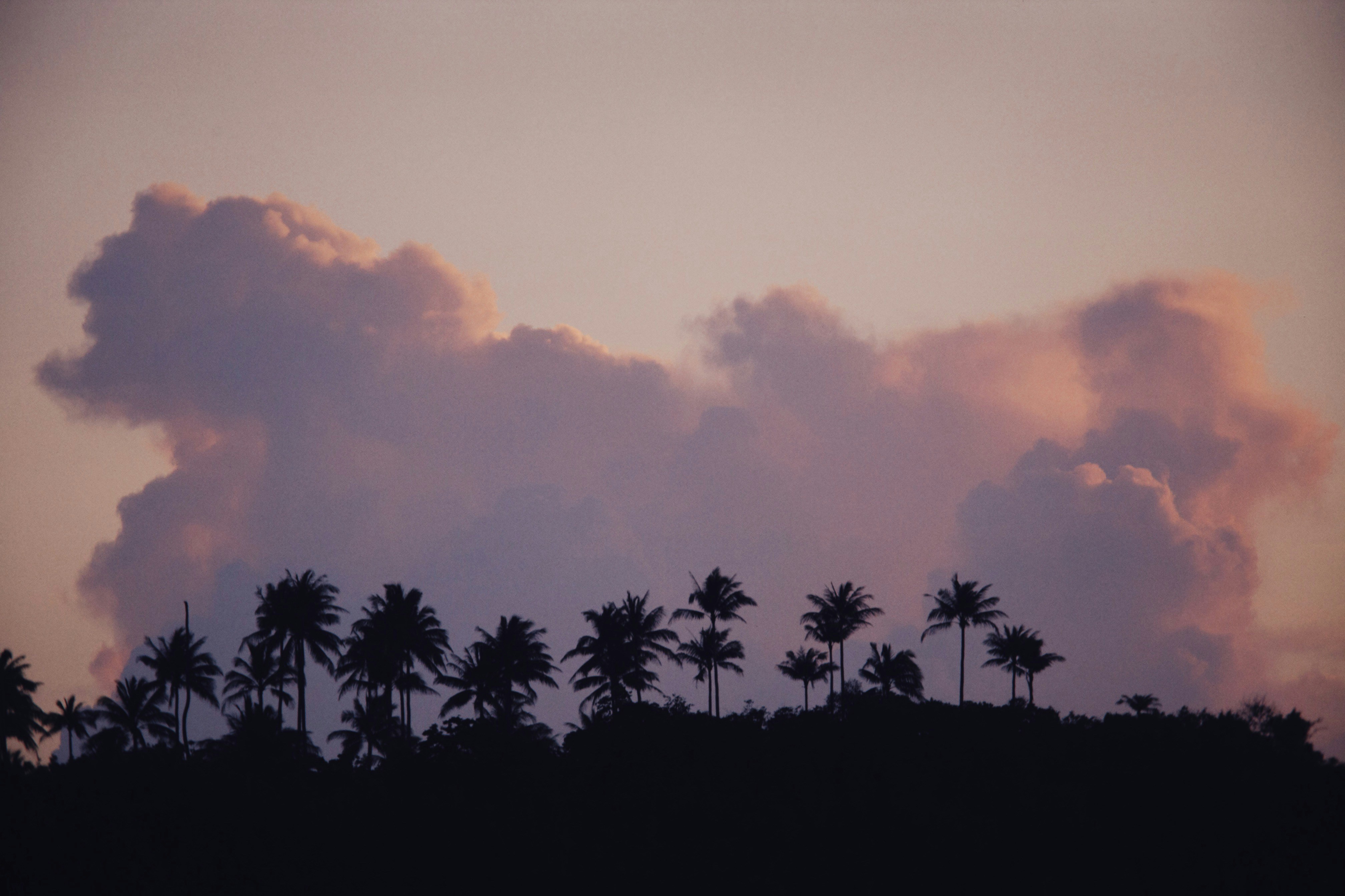 Photo by alexeydemidov