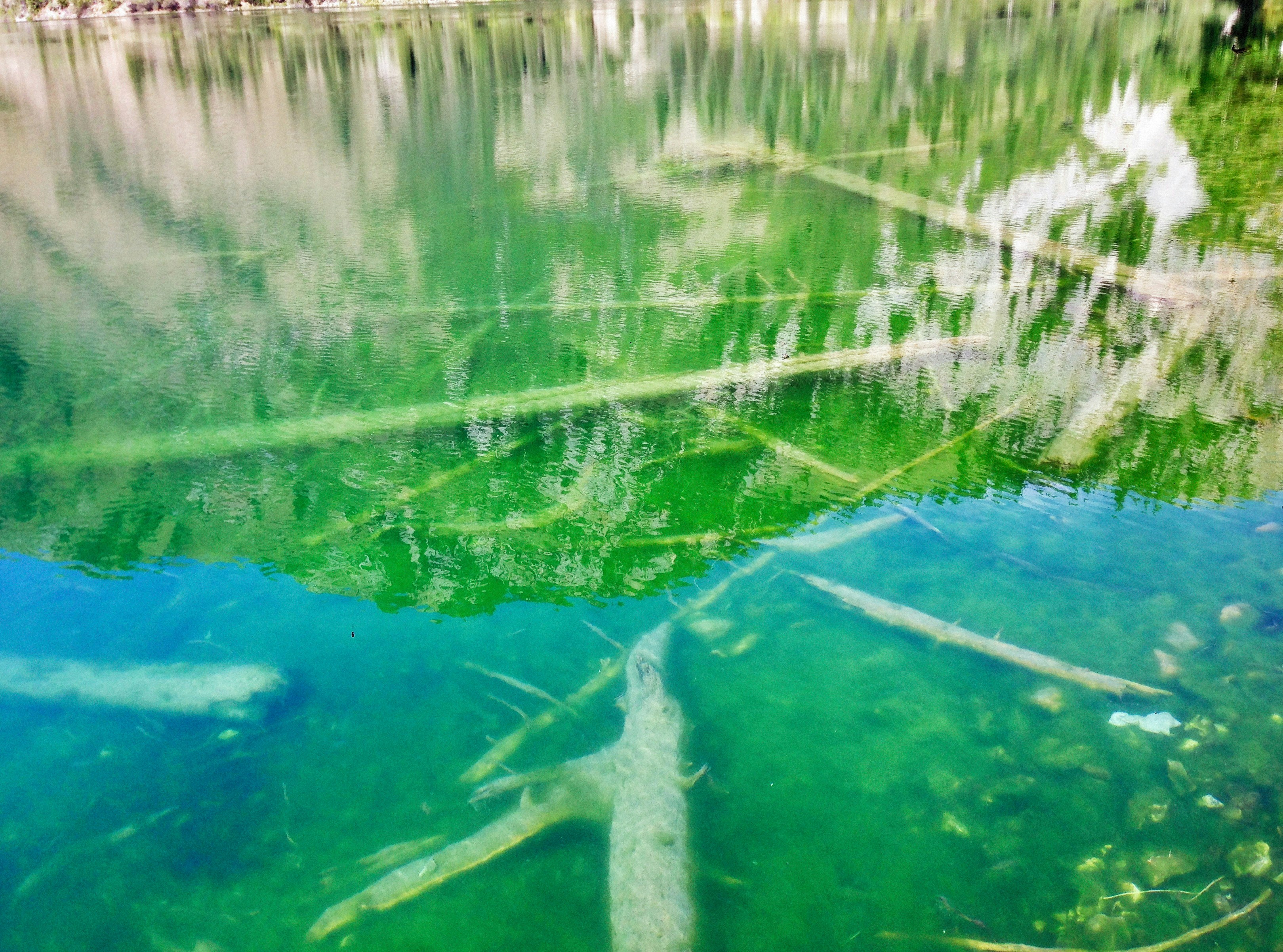 Photo by alexeydemidov