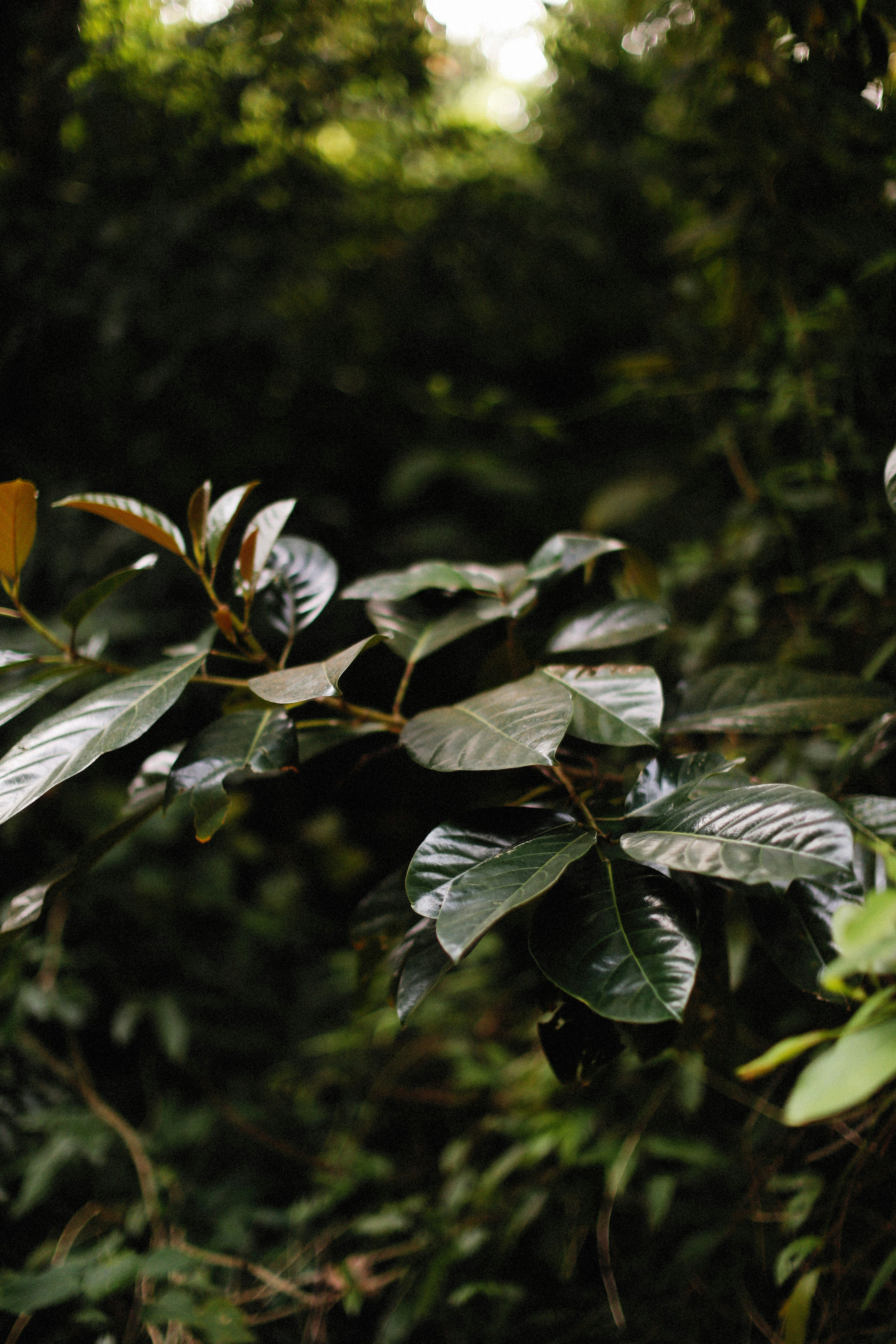 Photo by alexeydemidov