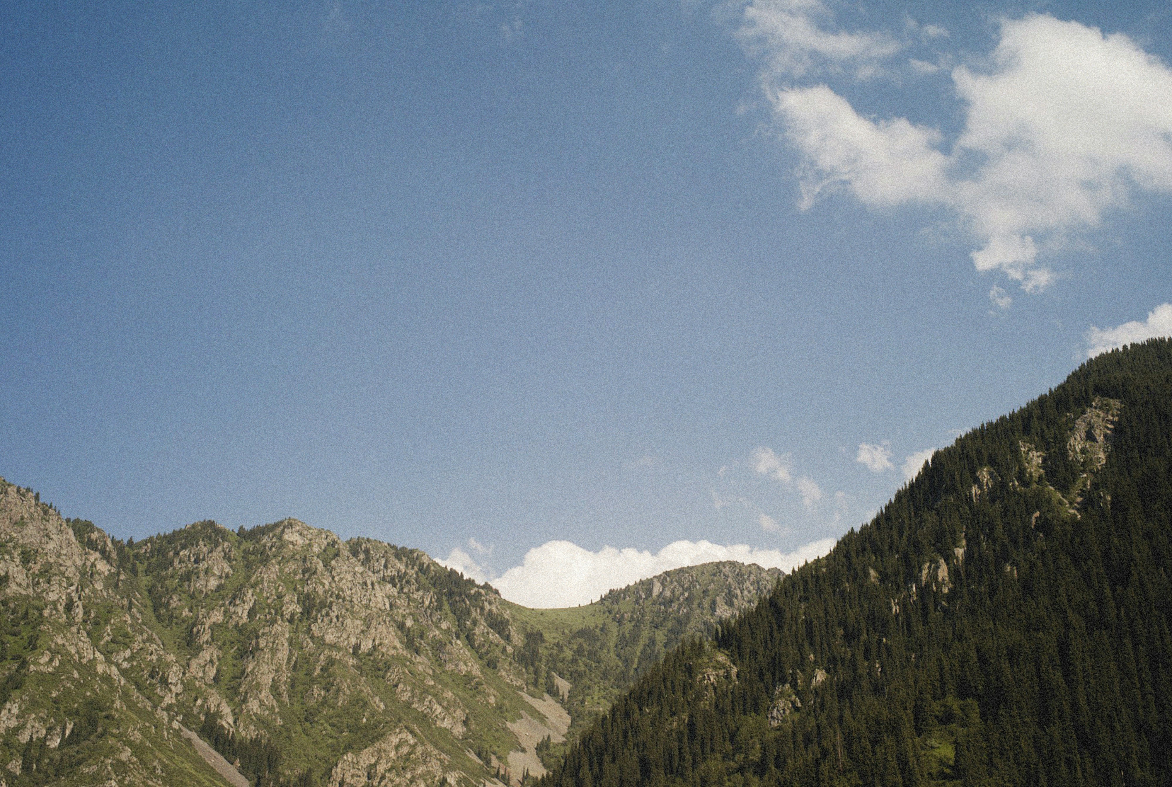 Photo by alexeydemidov