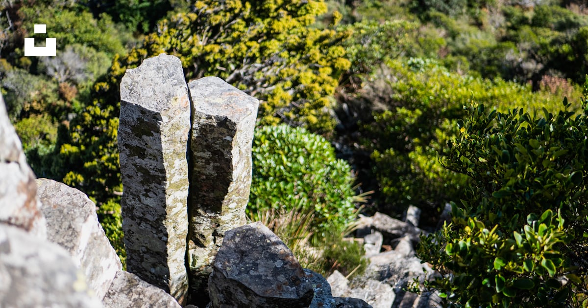 A couple of rocks sitting on top of a lush green hillside photo – Free ...