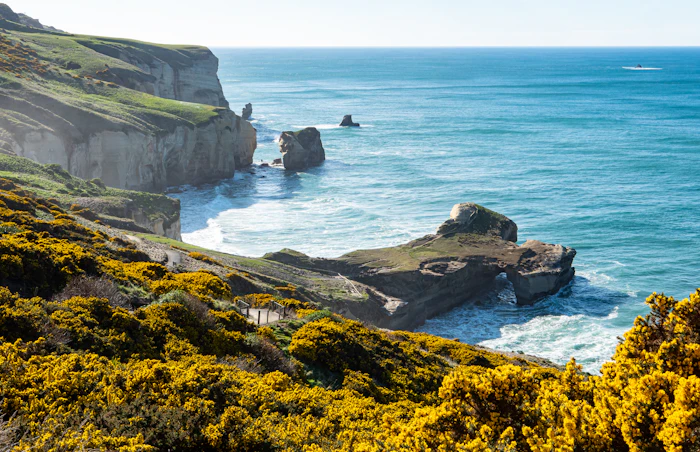 5 | DAY 6 Dunedin ➔ Oamaru ➔ Christchurch - NZ Bus Trail South Island shuttle