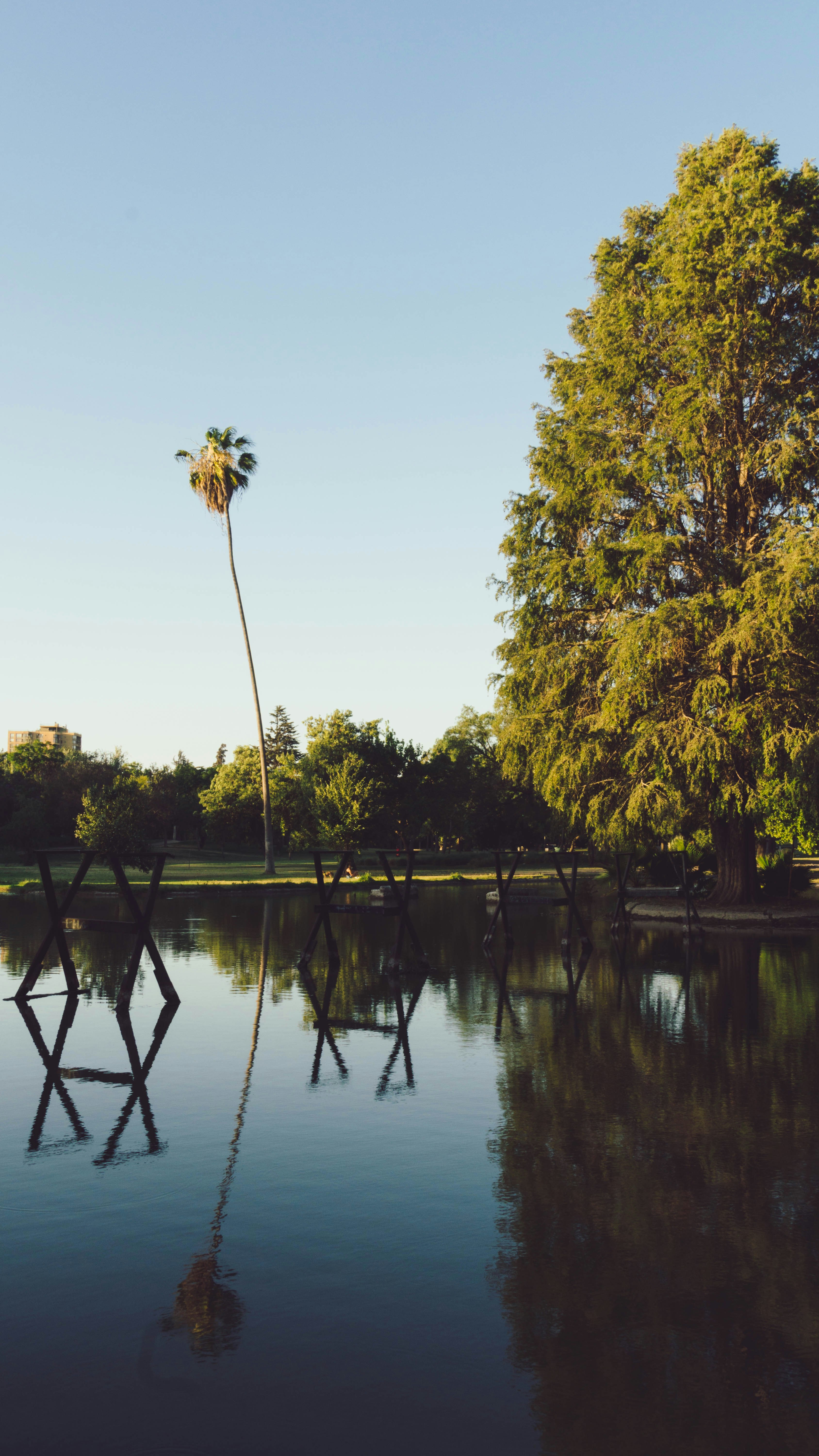 Photo by gustavo0351