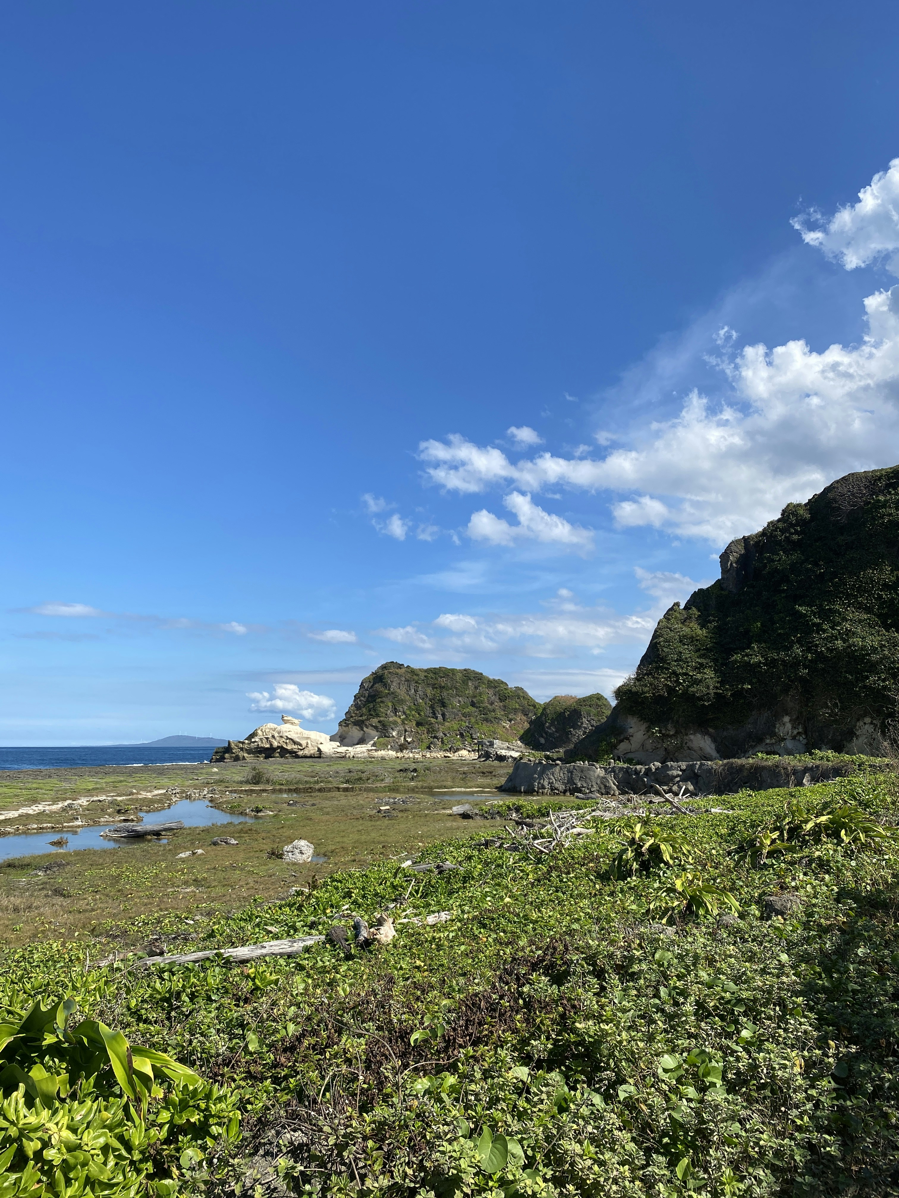 Photo by adama10show