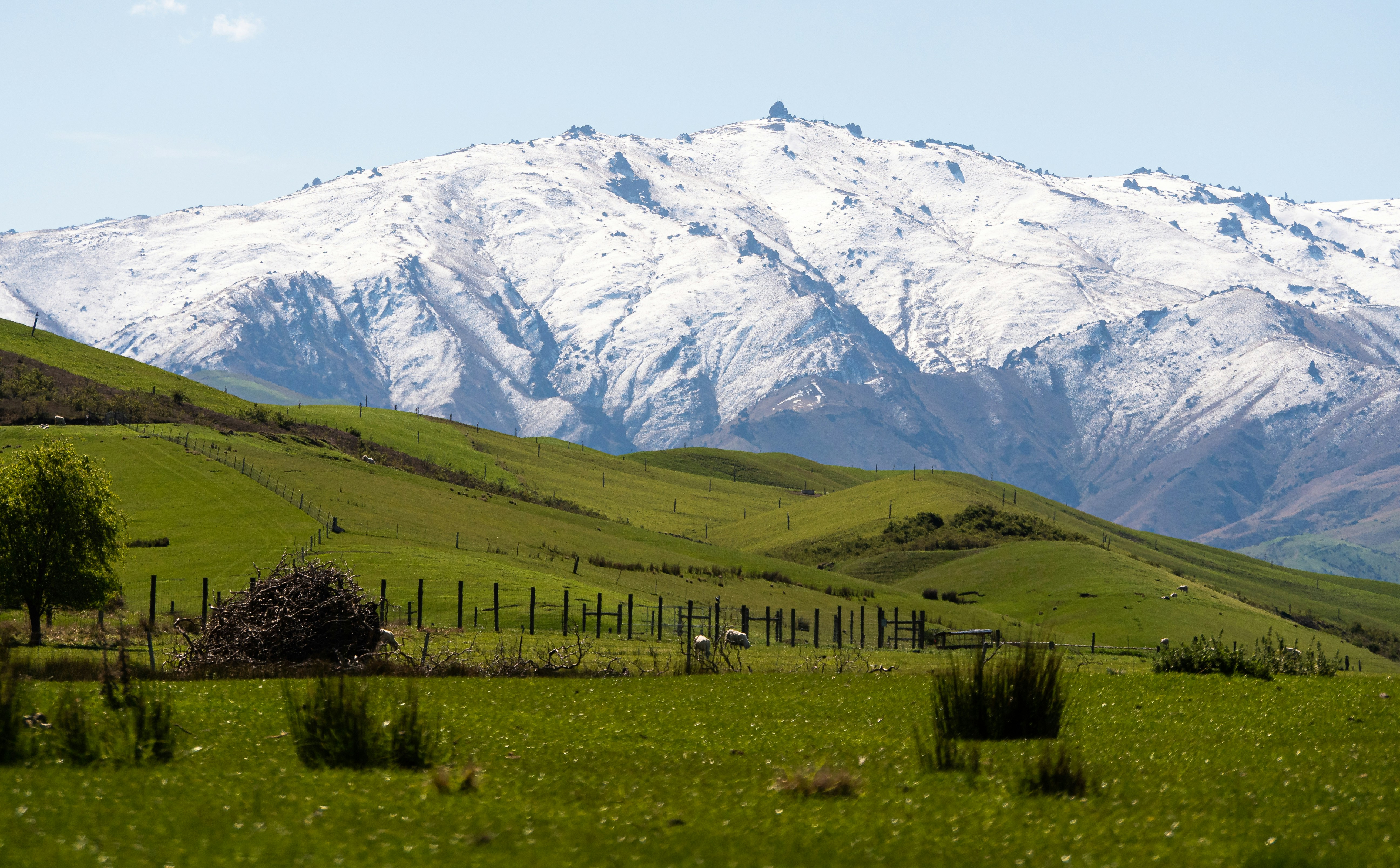 a green field with a mountain in the background