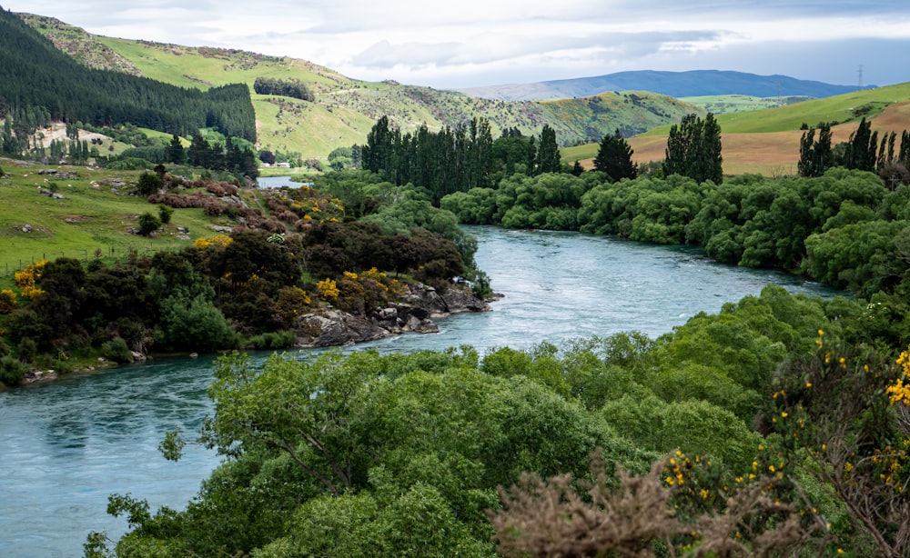 a river running through a lush green valley