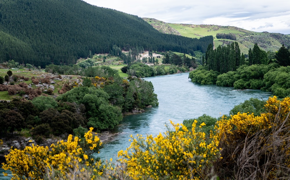 a river running through a lush green hillside