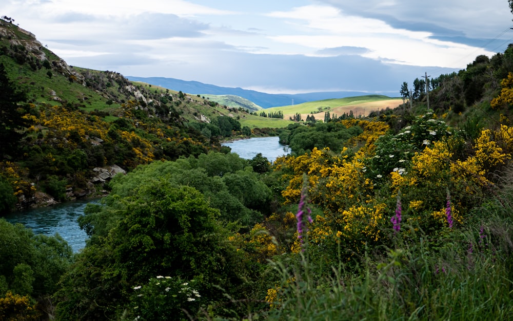 a river running through a lush green hillside