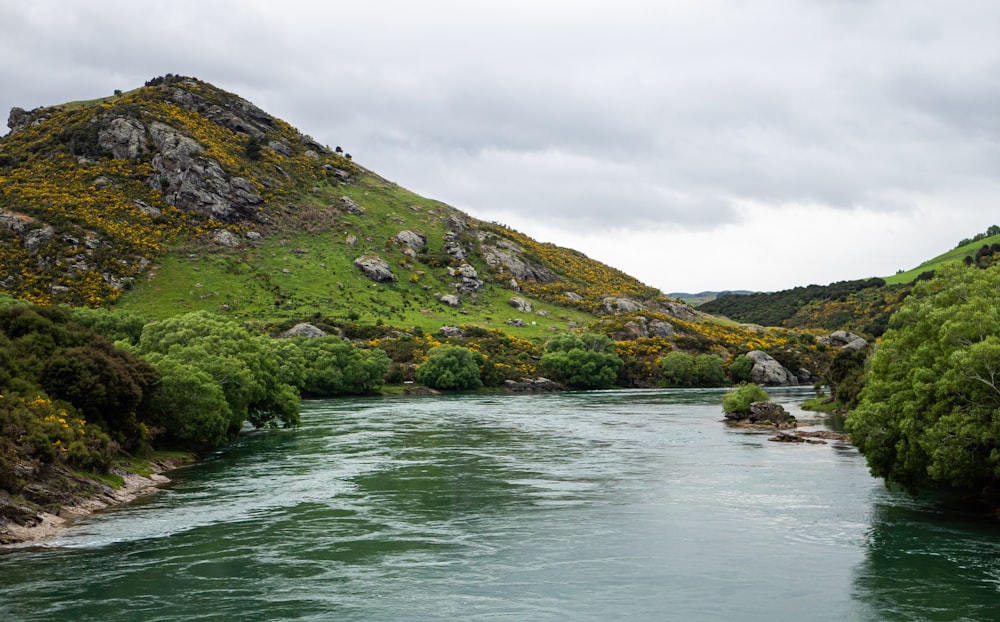 a river running through a lush green valley