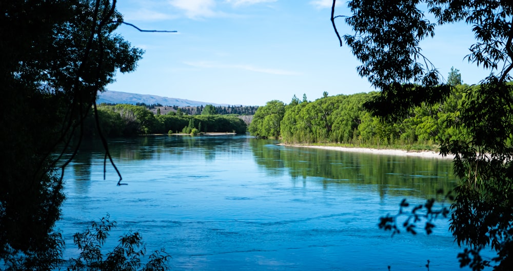 a body of water surrounded by trees and mountains