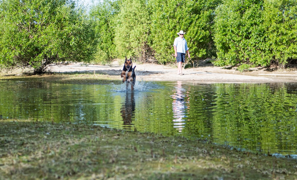 a man and a dog are standing in the water