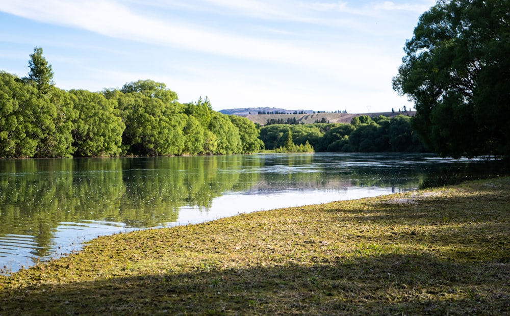 a body of water surrounded by trees and grass