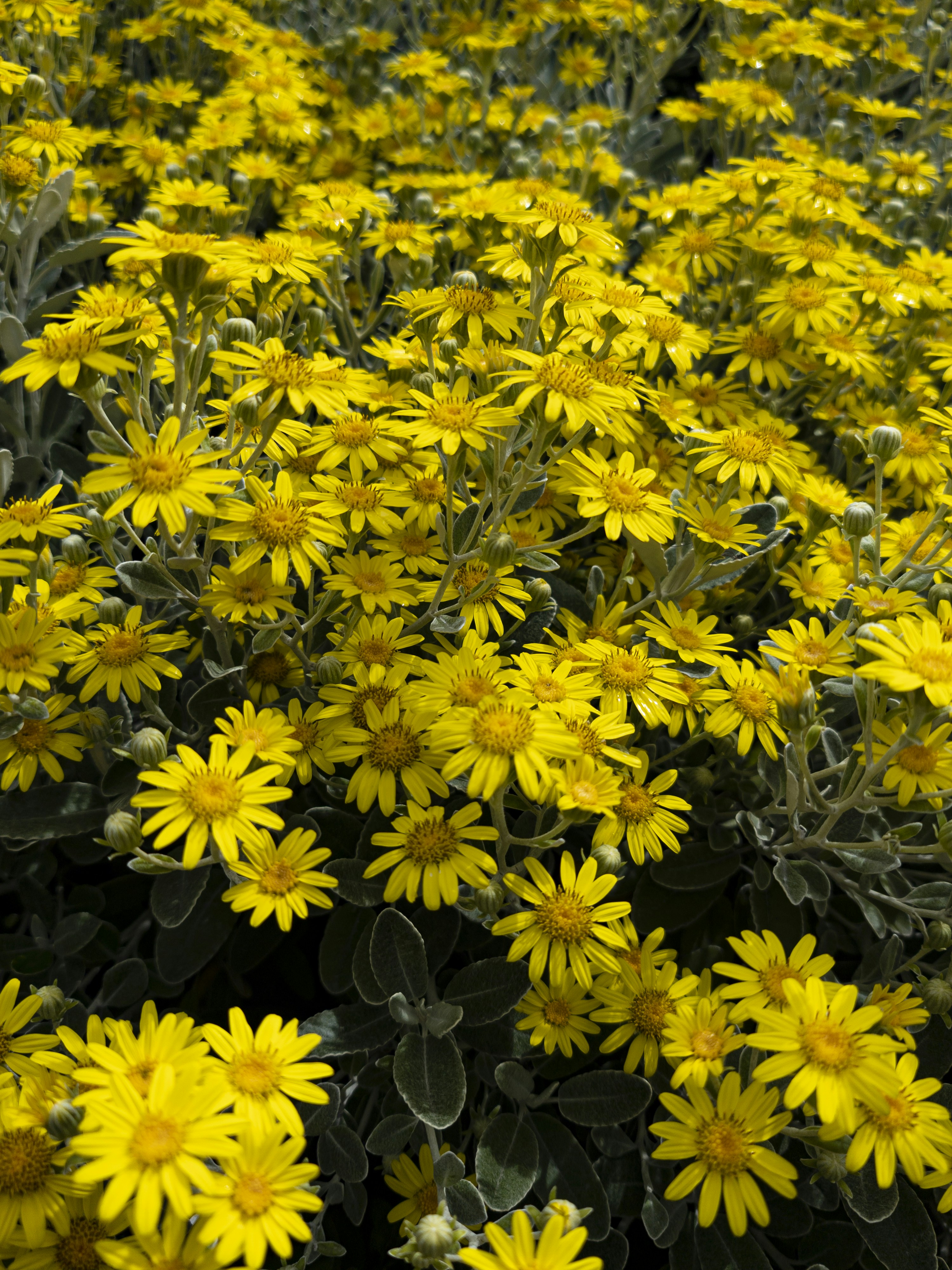 Photo by duskfallcrew