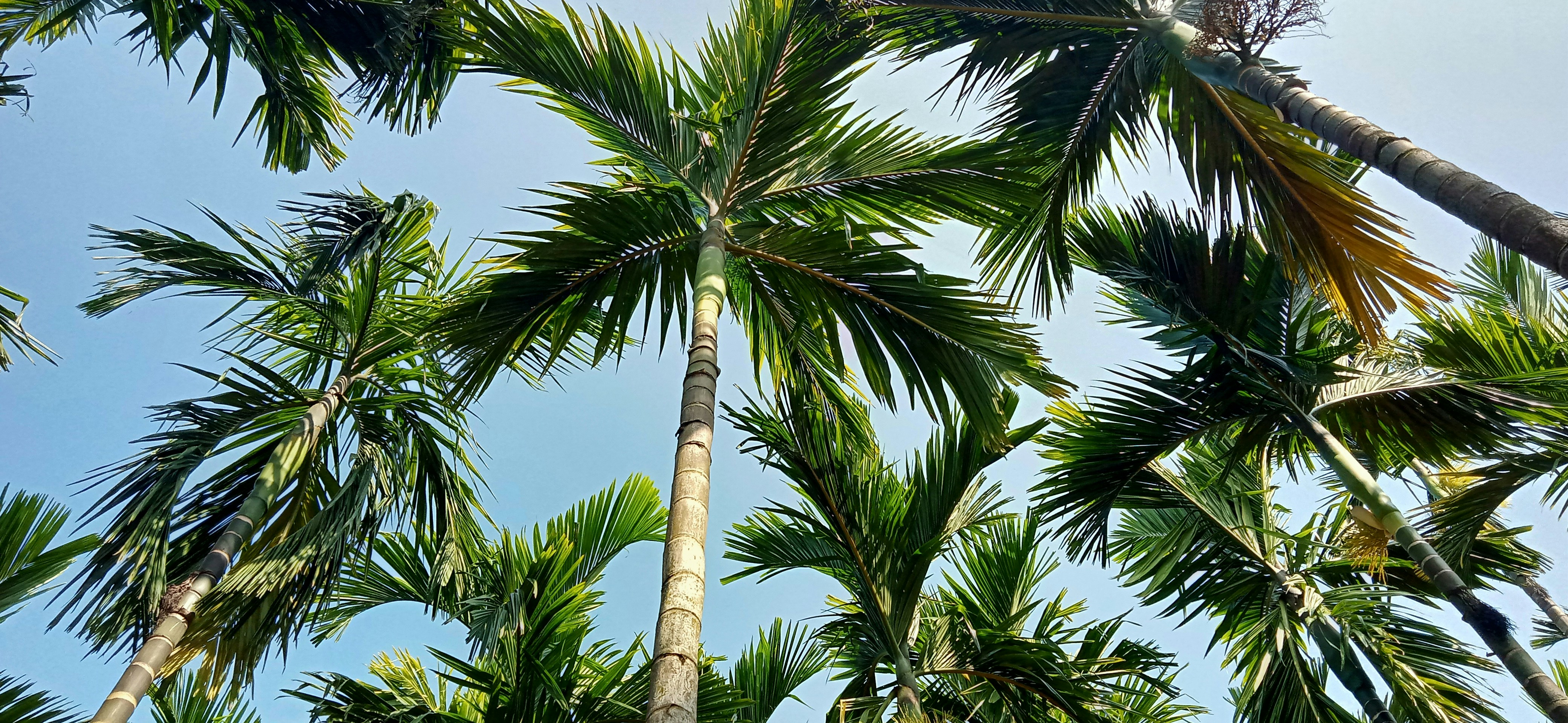 Photo by abigailvijetha