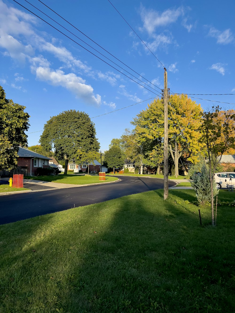 a street with houses and trees in the background