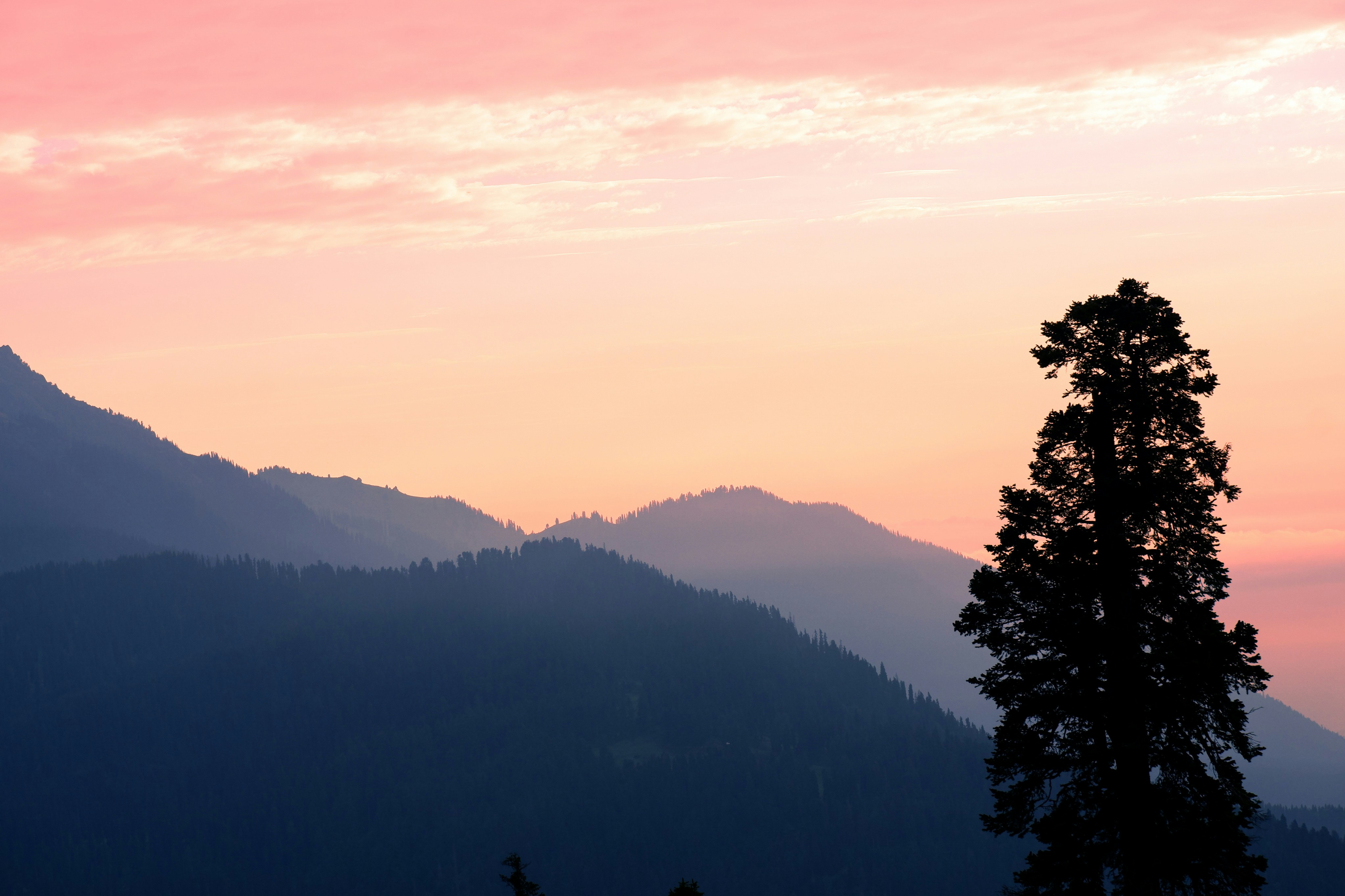 Photo by muazammalik