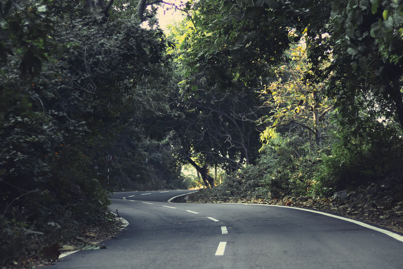 Amritsar to Manali by taxi