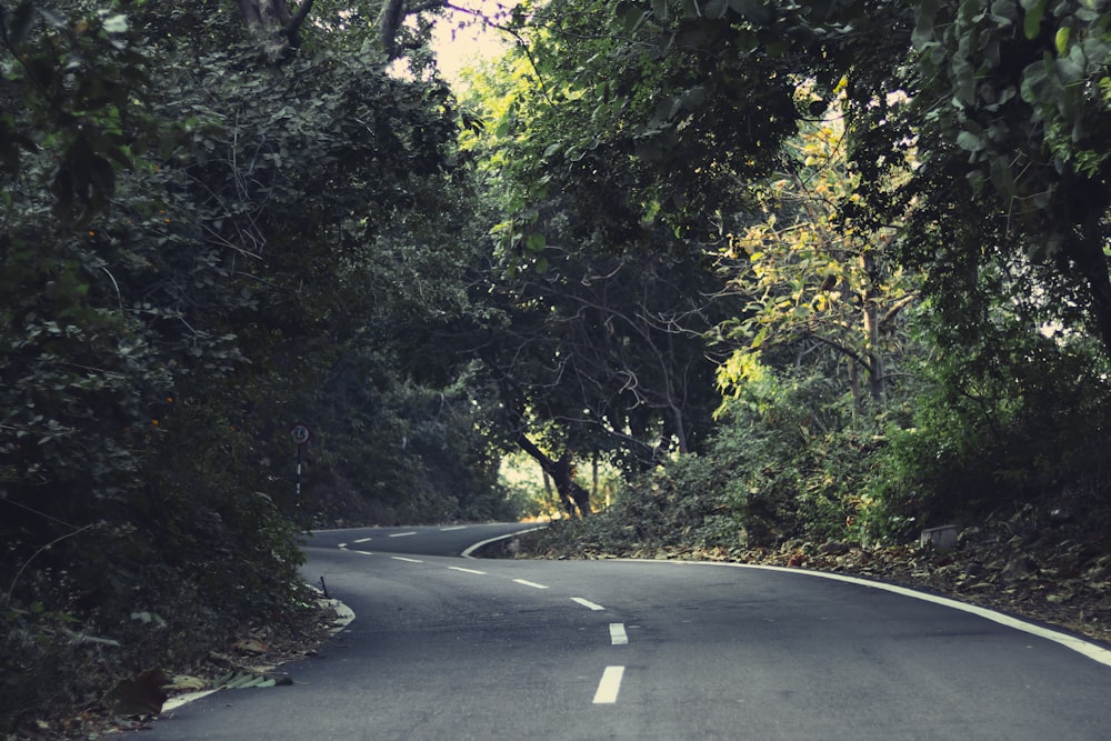 a curved road surrounded by trees and bushes