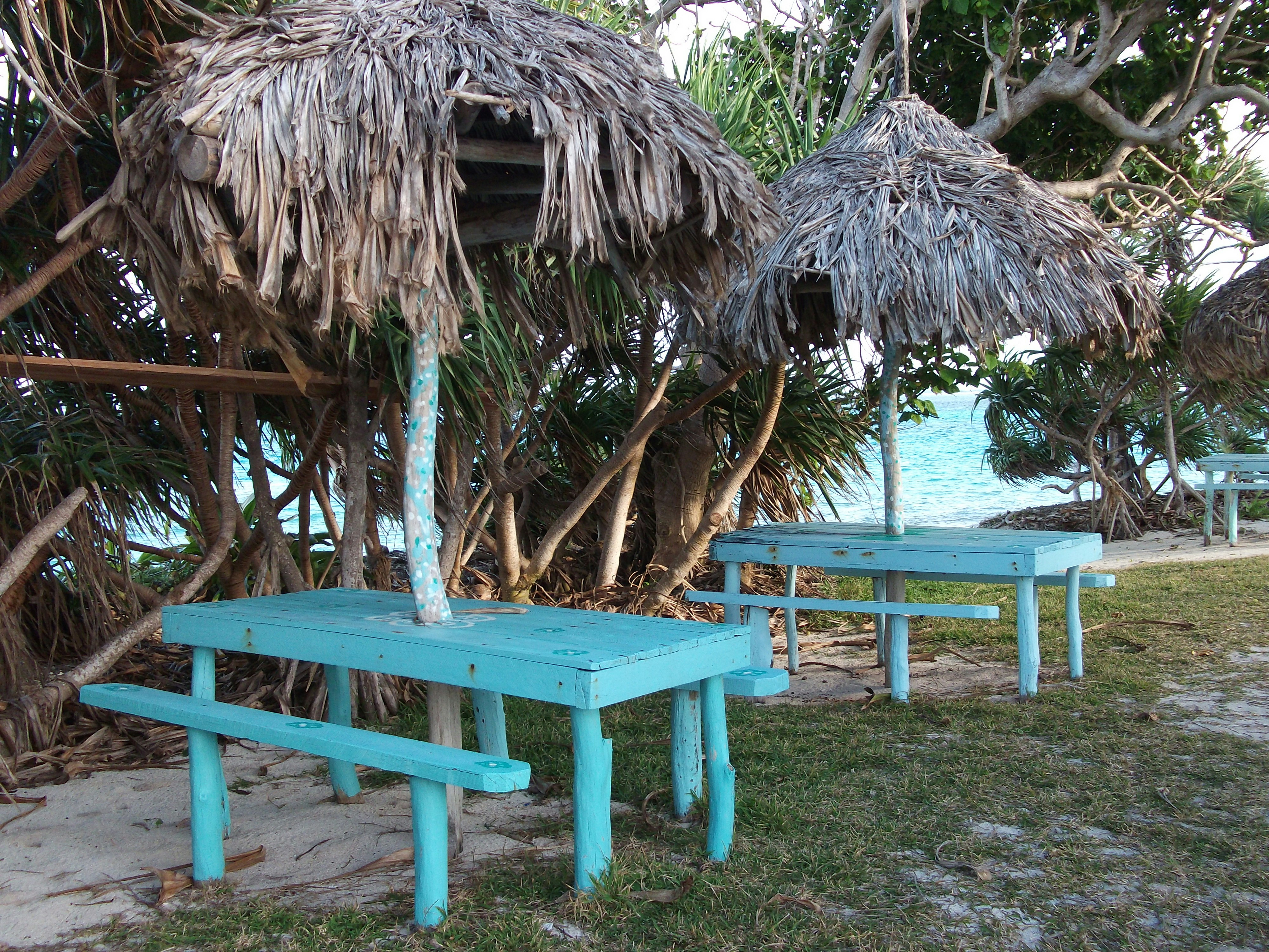 a couple of blue benches sitting under a thatched umbrella, Picnic area on the beach