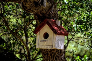 a birdhouse hanging from a tree in the woods