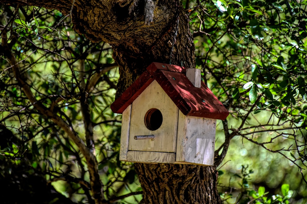 a birdhouse hanging from a tree in the woods