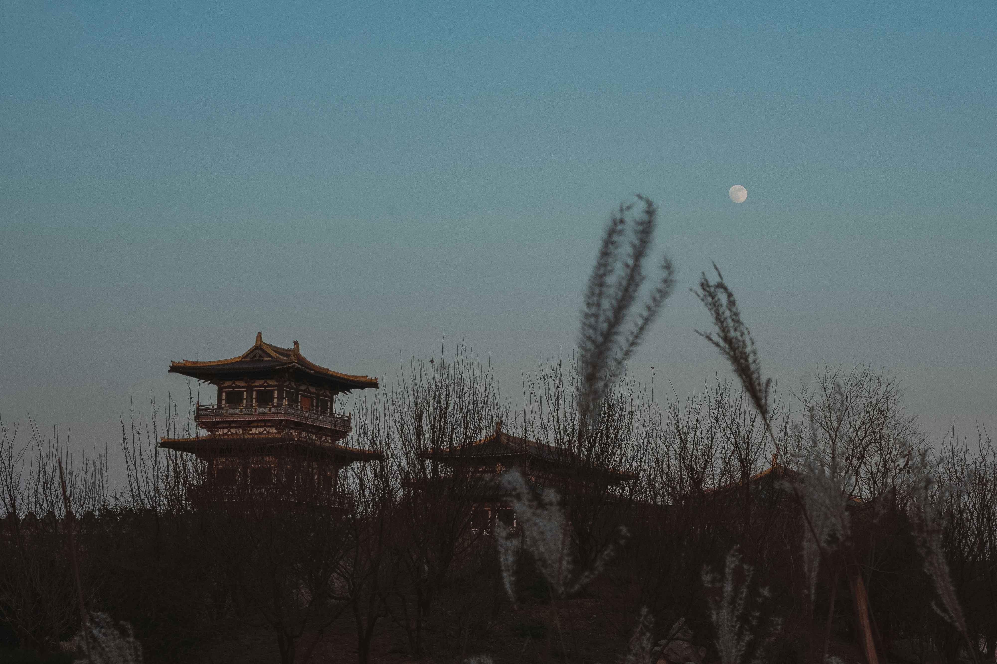 Lunar New Year Thrives Without Borders or Central Control