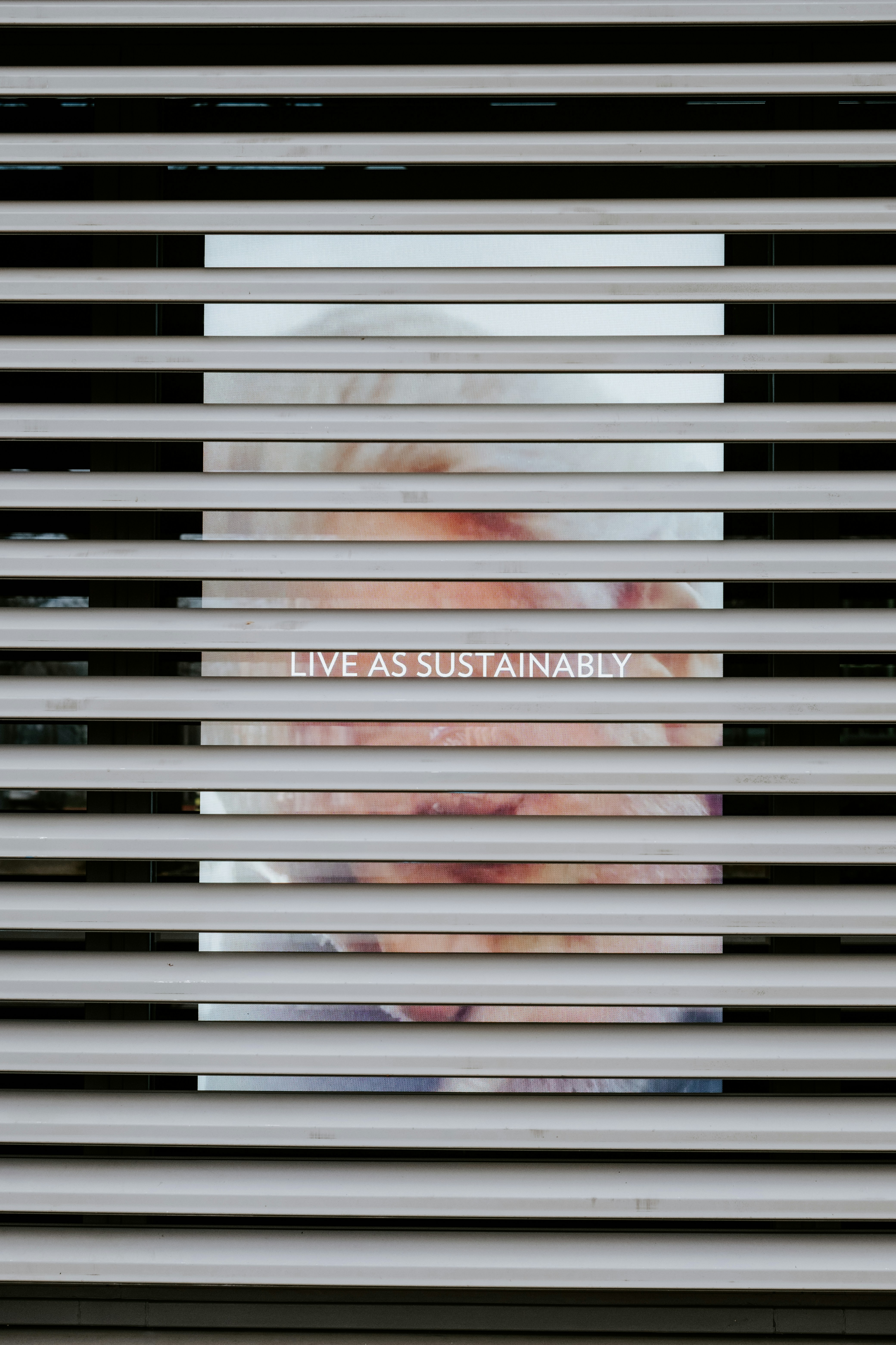 a picture of a woman's face through the blinds of a window