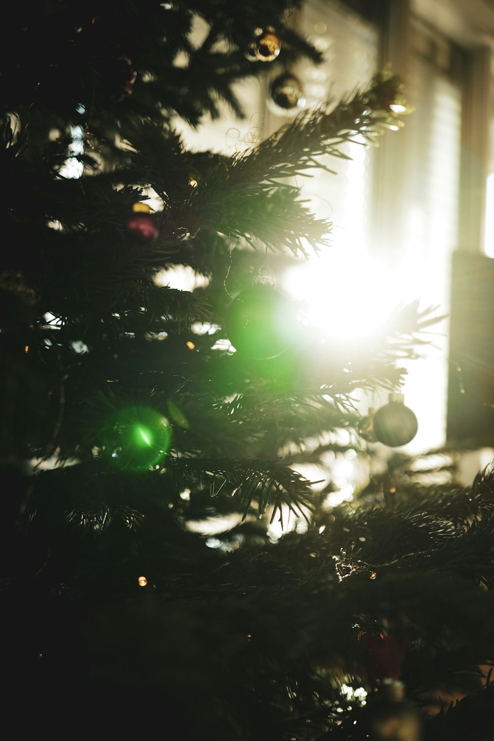 a close up of a christmas tree with the sun shining through the window