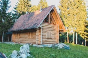 A cozy log cabin with a steep, shingled roof stands surrounded by tall pine trees. The wooden structure has a warm, rustic appearance, with small windows adorned with shutters. The cabin is set on a grassy area with some rocks scattered nearby. Sunlight filters through the trees, casting a warm glow on the scene.