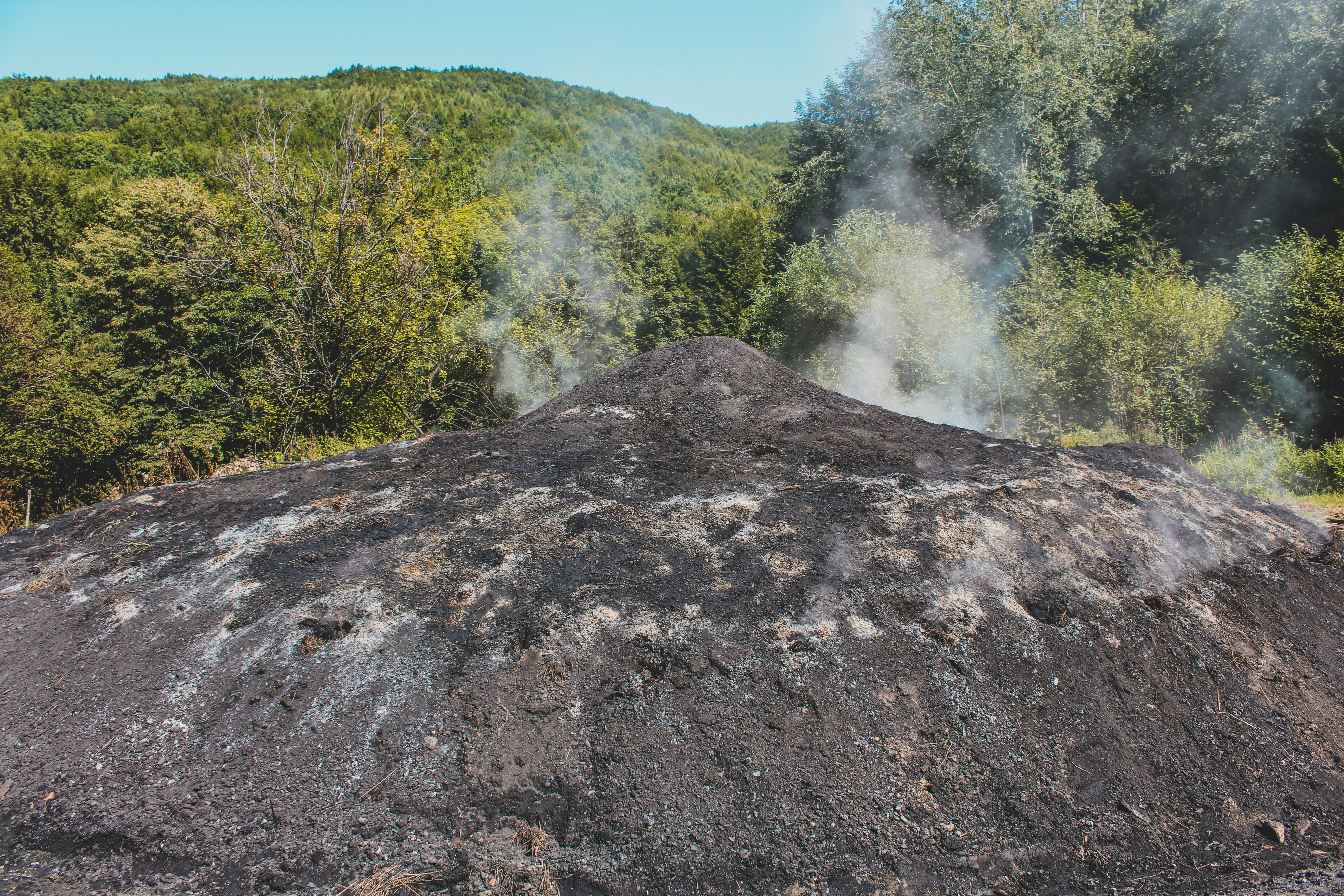 a large mound of dirt surrounded by trees (Photo by Árpád Czapp on Unsplash)