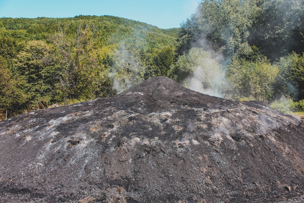 a large mound of dirt surrounded by trees